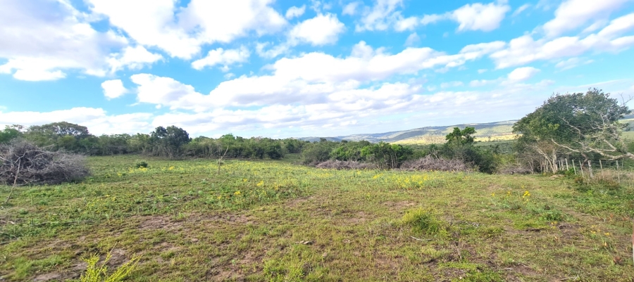 Commercial Property for Sale in Kwelera Eastern Cape